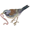 🪶 Эмодзи «Birds» для Telegram