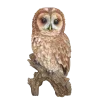 🤩 Эмодзи «Birds» для Telegram