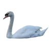 🐦 Эмодзи «Birds» для Telegram