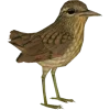 🐦 Эмодзи «Birds» для Telegram