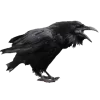 😋 Эмодзи «Birds» для Telegram