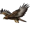 🦅 Эмодзи «Птицы» для Telegram