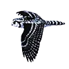 🦉 Эмодзи «Птицы» для Telegram
