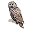 🦉 Эмодзи «Птицы» для Telegram