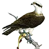 🦅 Эмодзи «Птицы» для Telegram