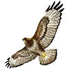 🦅 Эмодзи «Птицы» для Telegram