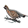 🪶 Эмодзи «Птицы» для Telegram