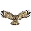 🦉 Эмодзи «Птицы» для Telegram