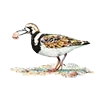 🪶 Эмодзи «Птицы» для Telegram