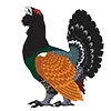 🪶 Эмодзи «Птицы» для Telegram