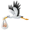 🪶 Эмодзи «Птицы» для Telegram
