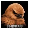 🌟 Эмодзи «Птицы мем» для Telegram