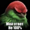 🌟 Эмодзи «Птицы мем» для Telegram