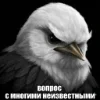 🌟 Эмодзи «Птицы мем» для Telegram