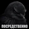 🌟 Эмодзи «Птицы мем» для Telegram