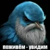 🌟 Эмодзи «Птицы мем» для Telegram