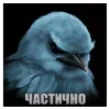 🌟 Эмодзи «Птицы мем» для Telegram