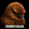 🌟 Эмодзи «Птицы мем» для Telegram