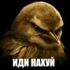 🌟 Эмодзи «Птицы мем» для Telegram