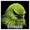 🌟 Эмодзи «Птицы мем» для Telegram