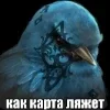 🌟 Эмодзи «Птицы мем» для Telegram