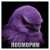 🌟 Эмодзи «Птицы мем» для Telegram
