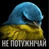🌟 Эмодзи «Птицы мем» для Telegram