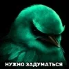 🌟 Эмодзи «Птицы мем» для Telegram