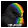 🌟 Эмодзи «Птицы мем» для Telegram