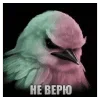 🌟 Эмодзи «Птицы мем» для Telegram