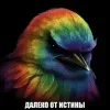 🌟 Эмодзи «Птицы мем» для Telegram