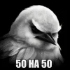 🌟 Эмодзи «Птицы мем» для Telegram