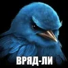 Эмодзи Птицы мем для Telegram — скачать