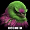 🌟 Эмодзи «Птицы мем» для Telegram