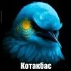 🌟 Эмодзи «Птицы мем» для Telegram