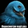 🌟 Эмодзи «Птицы мем» для Telegram