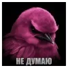 🌟 Эмодзи «Птицы мем» для Telegram
