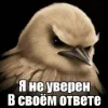 🌟 Эмодзи «Птицы мем» для Telegram
