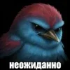 🌟 Эмодзи «Птицы мем» для Telegram