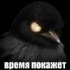 🌟 Эмодзи «Птицы мем» для Telegram