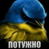 🌟 Эмодзи «Птицы мем» для Telegram