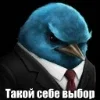 🌟 Эмодзи «Птицы мем» для Telegram