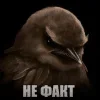 🌟 Эмодзи «Птицы мем» для Telegram