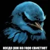 🌟 Эмодзи «Птицы мем» для Telegram