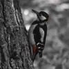 ❤ Эмодзи «❤ Набор эмоджи с птичками» для Telegram