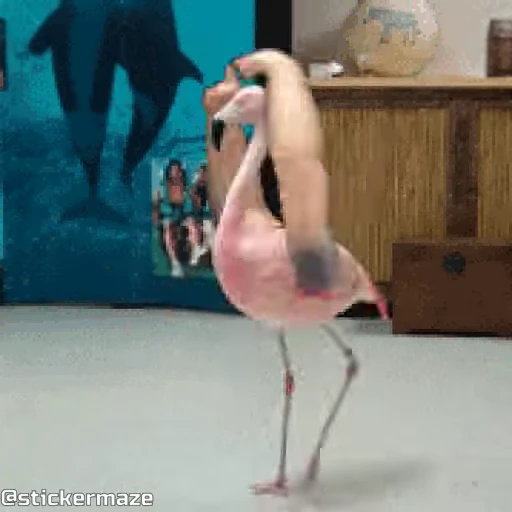 🩰 Стикер «Birds with arms Птицы с руками» для Telegram