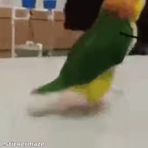 🥳 Стикер «Birds with arms Птицы с руками» для Telegram