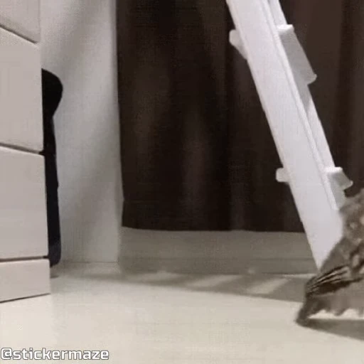 🤫 Стикер «Birds with arms Птицы с руками» для Telegram