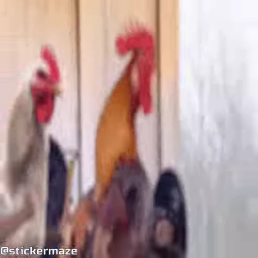 ⚔️ Стикер «Birds with arms Птицы с руками» для Telegram