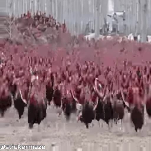 😠 Стикер «Birds with arms Птицы с руками» для Telegram